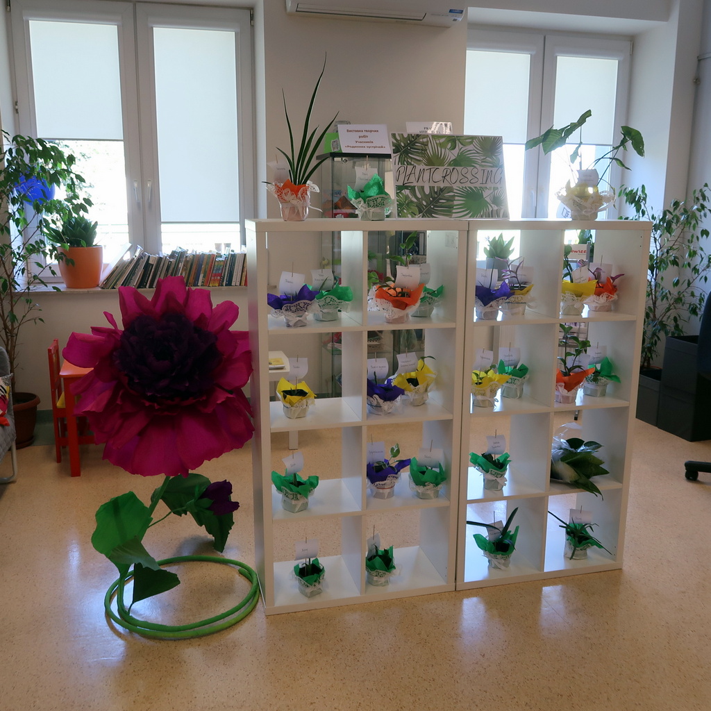 Ekspozycja kwiatów doniczkowych