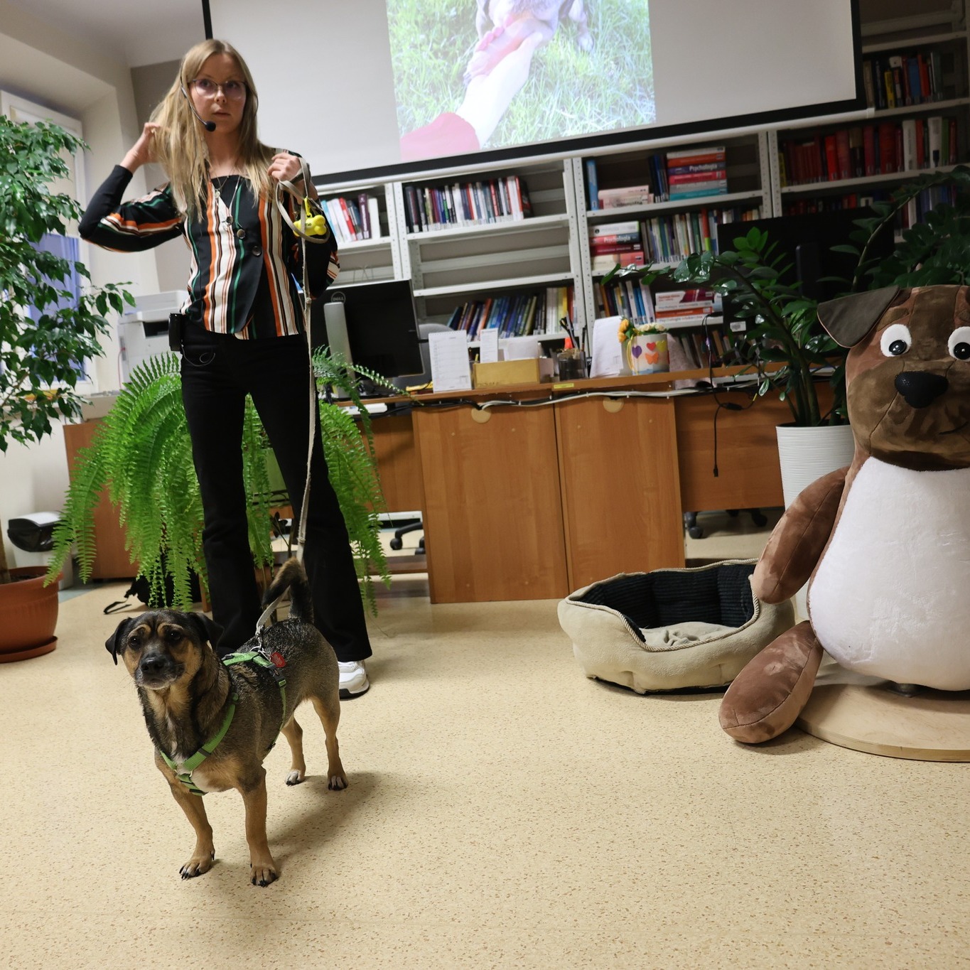 Warsztaty z psem Preclem podczas Nocy Bibliotek