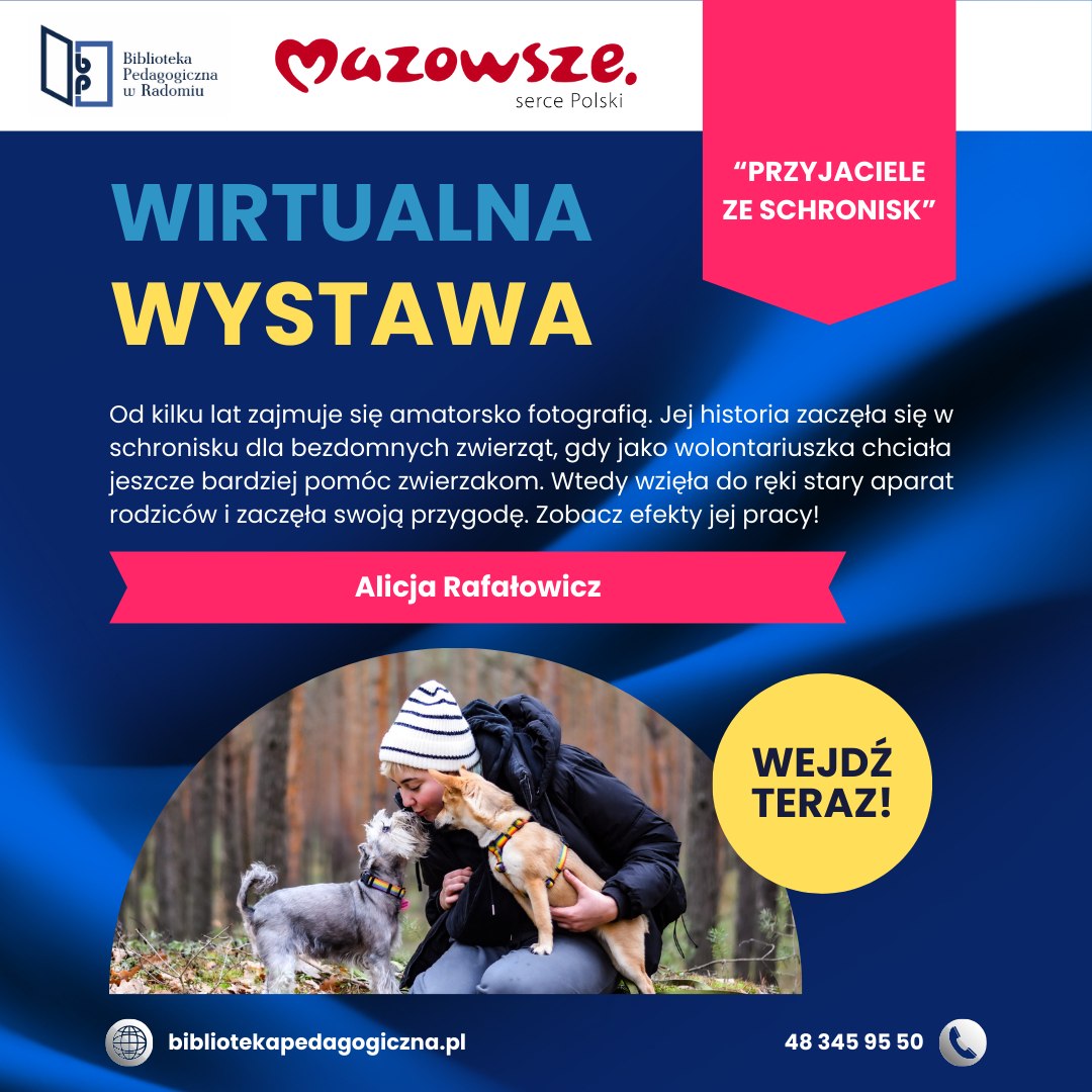 Ikonagrafika Wirtualnej Wystawy Alicji Rafałowicz