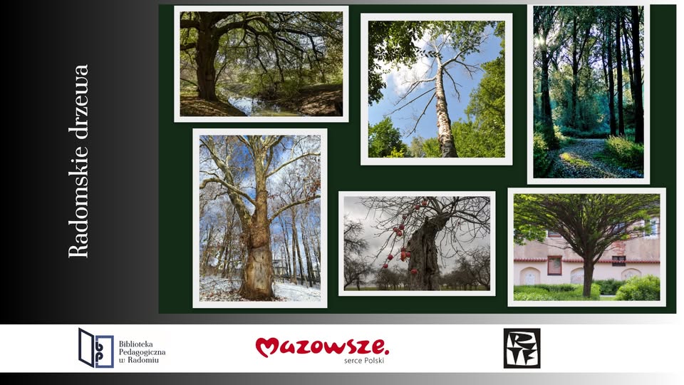 Plakat zapowiadający wernisaż wystawy pt. 