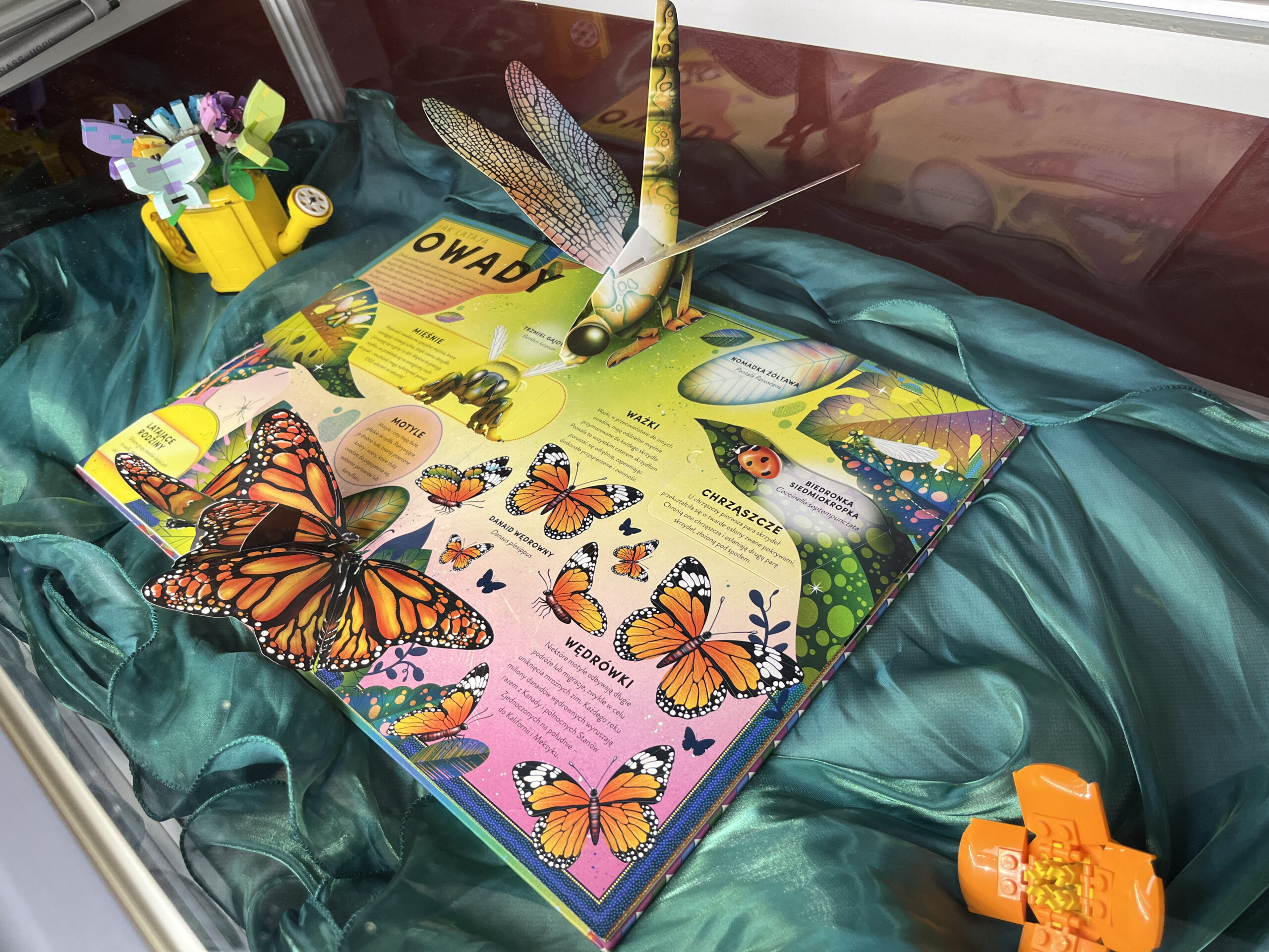 zdjęcie wystawy o wiośnie, książka typu pop-up, ważka, motyl