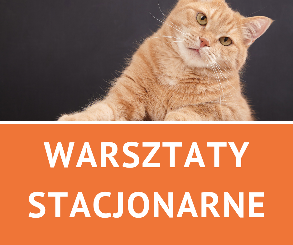 16.11.2026 Co mówią do nas zwierzęta. Biblioterapia z pazurem