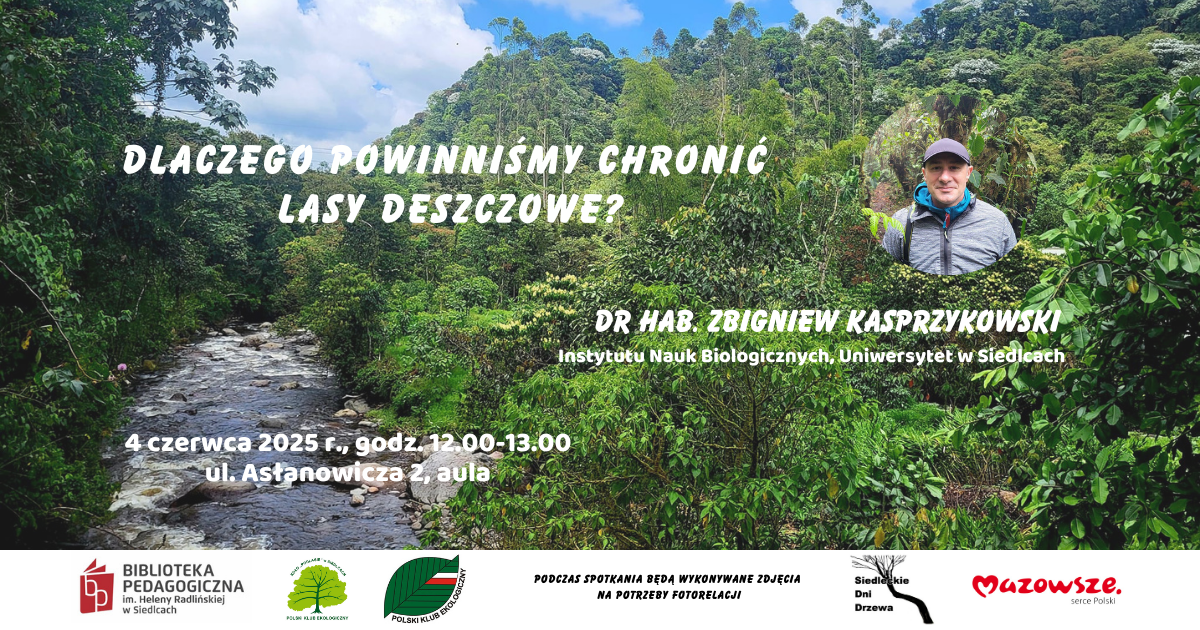 Lasy deszczowe strona 04.06.2025